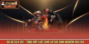 Đá Gà Cựa Sắt - Tổng Hợp Luật Chơi Và Các Kinh Nghiệm Hữu Ích