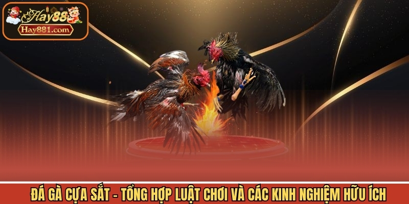Đá Gà Cựa Sắt - Tổng Hợp Luật Chơi Và Các Kinh Nghiệm Hữu Ích