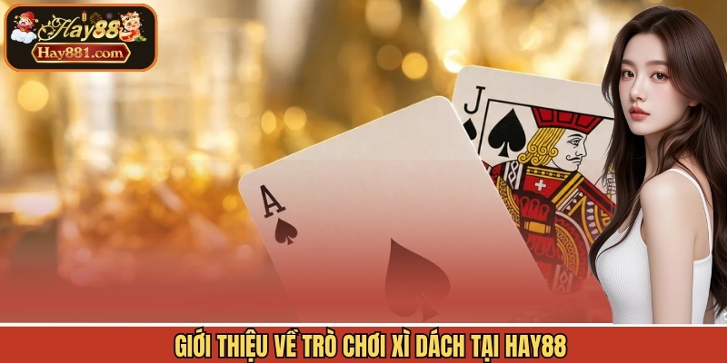 Giới thiệu về trò chơi Xì Dách tại Hay88