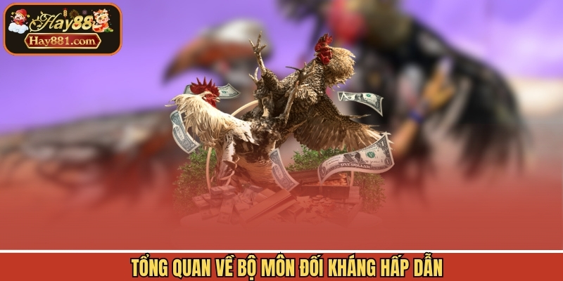 Tổng quan về bộ môn đối kháng hấp dẫn